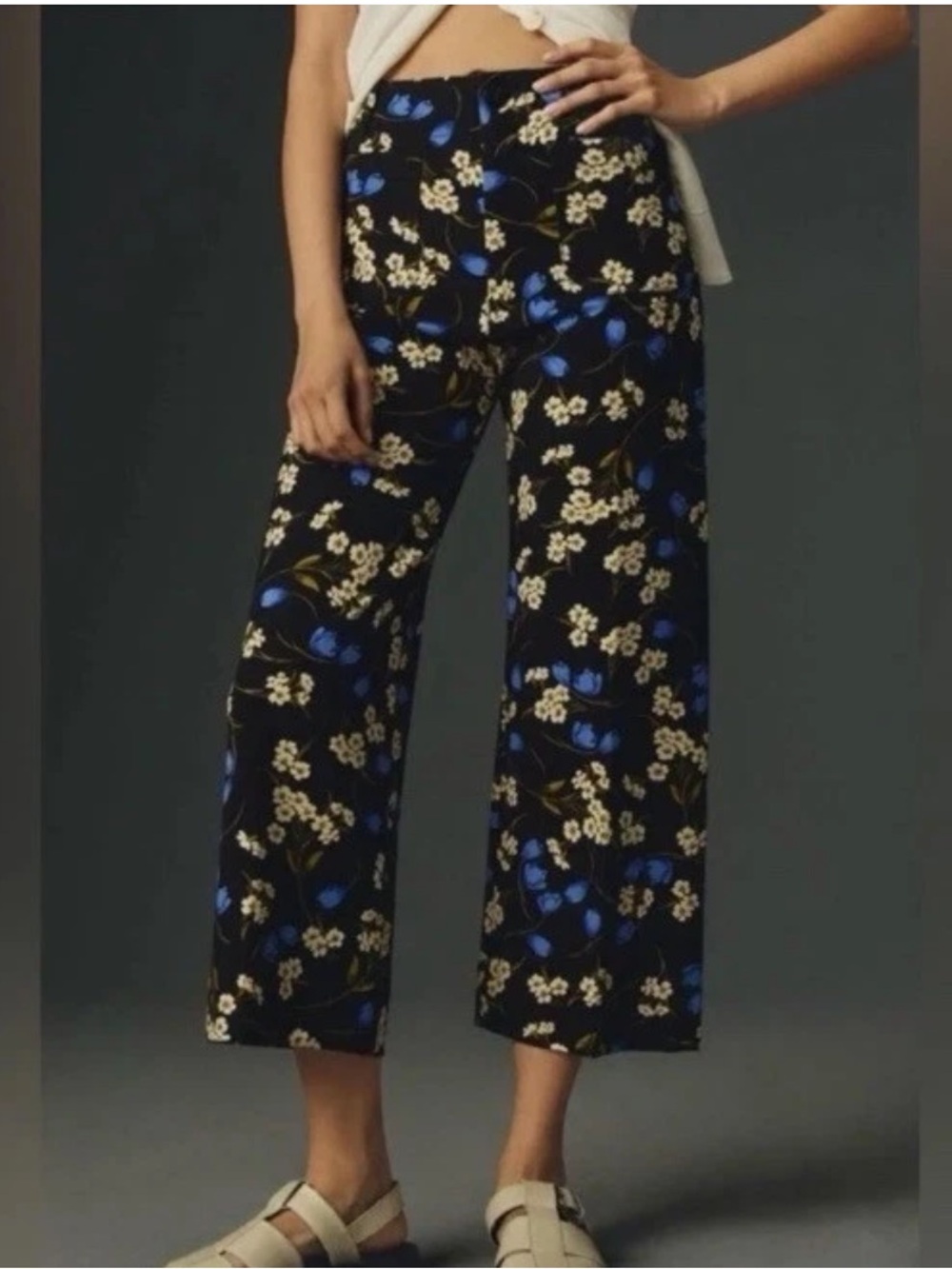 Anthropologie Maeve Colette Cropped Wide Leg Pants in Black & Blue Floral